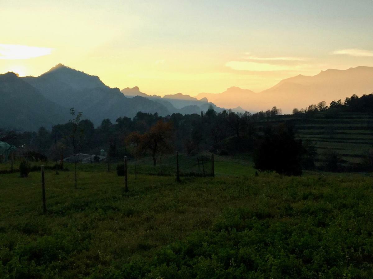 Apartamento Rural Con Encanto Can Salvador Borredá Eksteriør bilde